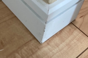 施主チェック♪